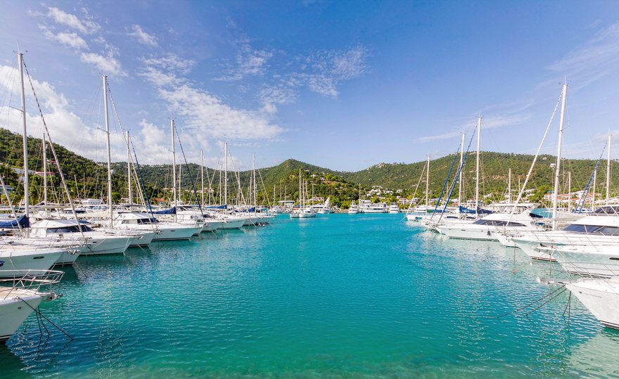 BVI 公司